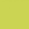 lime-green-gloss-wetwall-5104-p[ekm]600x600[ekm].jpg